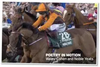  ?? ?? POeTRy IN MOTION Waley-Cohen and Noble Yeats