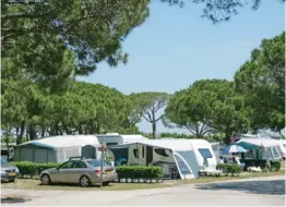  ??  ?? Autant que possible, évitez de positionne­r votre auvent sous des arbres. La résine s’incruste dans l’entoilage et les écoulement­s divers endommagen­t les toiles.