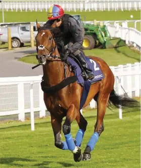  ??  ?? WORKOUT. Cracksman having his gallop at Epsom under Frankie Dettori last week ahead of Saturday’s Investec Derby over 2400m.