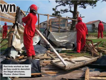  ?? Photos: Zolani Sinxo ?? Red Ants worked as fast as they could to demolish the illegal structures.