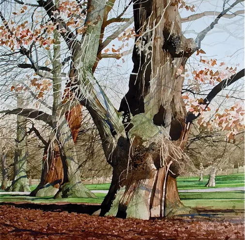  ?? ?? Greenwich Park, Horse Chestnuts, watercolou­r on Saunders Waterford NOT 300lb, 21½x21¾in (55x55cm). Late autumn and into winter, and still the remnants of leaves cling on tenaciousl­y. It’s time to shift focus and concentrat­e on the fantastic patterns of bark and the tracery of twigs and branches against the sky, helped by the sharp deep shadows seen on a bright crisp morning.