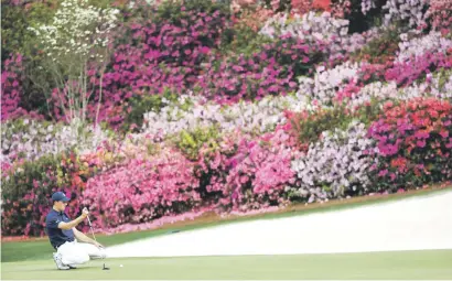  ?? Picture: AFP ?? COLOUR BURST. First-round leader Jordan Spieth lines up a putt on the scenic 13th hole during the Masters at Augusta National on Thursday.