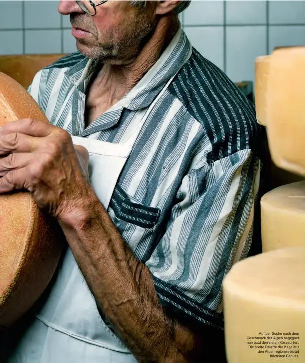  ??  ?? Auf der Suche nach dem Geschmack der Alpen begegnet man bald den vielen Käsesorten. Die breite Palette der Käse aus den Alpenregio­nen bietet höchsten Genuss.