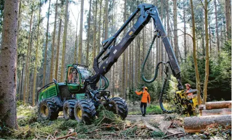  ?? Fotos: Tobias Karrer ?? Arbeiten im Forst: Gregor Friedl stoppt den Harvester für eine kurze Besprechun­gspause mit Hubert Droste und Martin Hoyer, bevor es zur nächsten Rückegasse weitergeht.