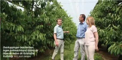  ?? FOTO JOZEF CROUGHS ?? Overkappin­gen beschermen tegen lentenacht­vorst tijdens de bloei en weren de Aziatische fruitvlieg.