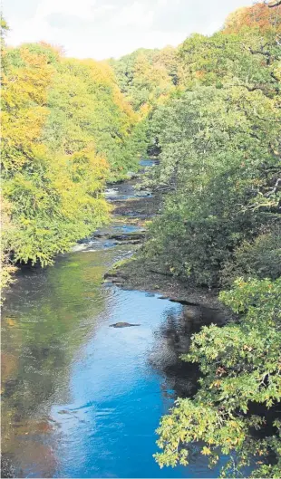  ??  ?? “I thought your readers might like to see the lovely autumn colours on the River Isla,” says Tricia Brown.