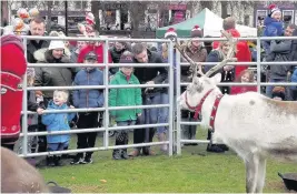  ??  ?? Animal magic Kids enjoy getting a look at the fabulous Cairngorm reindeer