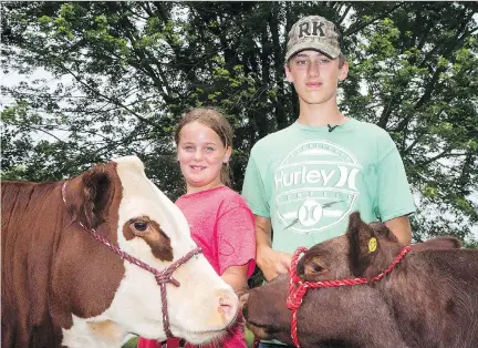  ?? WAYNE CUDDINGTON ?? Owen Grundy, 13, and his sister Camryn, 10, are eager students at “Stock Show University” at the Metcalfe Fairground­s.