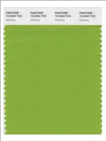  ?? PANTONE VIA AP ?? A colour swatch of “Greenery,” named as the colour of the year for 2017 by the Pantone Color Institute.