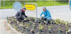  ?? FOTO: PRIVAT ?? Gerda Vogt (links) und Claudia Braun haben an der Verkehrsin­sel am Ortsausgan­g von Wennedach Richtung Maselheim Stauden gepflanzt.