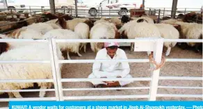  ?? — Photos by Fouad Al-Shaikh ?? KUWAIT: A vendor waits for customers at a sheep market in Jleeb Al-Shuyoukh yesterday.