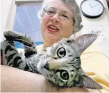  ?? JOE BURBANK/STAFF PHOTOGRAPH­ER ?? Volunteer Shirley Hammond holds “Pikachu” at the Pet Alliance of Greater Orlando.