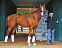  ?? THE ASSOCIATED PRESS ?? Trainer Bob Baffert walks Kentucky Derby winner Justify in a barn Wednesday after Justify’s arrival at Pimlico Race Course in Baltimore.