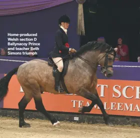  ??  ?? Home-produced Welsh section D Ballynacoy Prince and teacher Beth Simons triumph