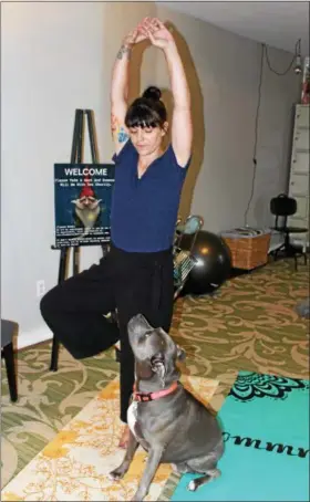  ?? PHOTOS BY MICHILEA PATTERSON — FOR DIGITAL FIRST MEDIA ?? Pamela Gormish, owner of Blue Zen Wellness Collective in Pottstown, does a yoga pose while her dog Sailor looks up at her while at the wellness studio. Gormish said yoga is beneficial to both humans and dogs.