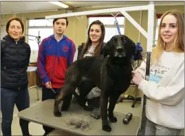  ??  ?? Teacher Helen Gould with students Rachel O’ Donovan, Amber O’ Callaghan and Shay Vincent giving Dakota a complete new look in the Dog Grooming Department during the Open Day at Mallow College