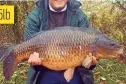  ??  ?? THE Carp Lake at Manor Farm, Sandy, Beds, gave day angler Chris Clark this 25lb common to a boilie tipped with fake corn. 25lb