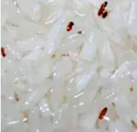  ?? Supplied photo ?? Mites, bugs and worms were found in 92kg of rice seized from an eatery in Umm Al Quwain. —