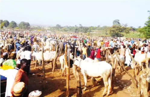  ??  ?? A section of Izom cattle market.