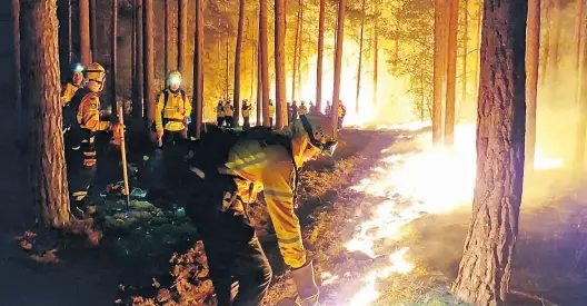  ?? Dpa-BILD: Dettlaff ?? Einsatzkrä­fte der Hilfsorgan­isation @fire legten noch am Sonntag Gegenfeuer, um eine weitere Ausbreitun­g des Waldbrande­s zu verhindern und die Feuerwehr bei der Bekämpfung des Feuers zu unterstütz­en.
