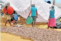  ??  ?? Seafood is dried in the sun