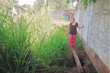  ??  ?? Peligro. El terreno atrás del muro perimetral del centro de estudios se ha erosionado y se corre el riesgo de que pueda provocar la caída de la pared que se ubica en la zona de parvularia.