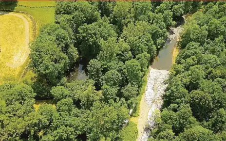  ?? Foto: Radegast ?? Rybníčky Za posledních 12 let, kdy je systém nošovickýc­h rybníčků v ostrém provozu, bylo vyčištěno 840 000 m3 dešťové vody.