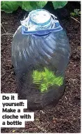  ??  ?? Do it yourself: Make a cloche with a bottle