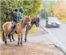  ?? FOTO: IMAGO ?? Größerer Abstand und ein Absteigen vom Pferd hätte die Gefahrenla­ge reduziert, urteilte ein Oberlandes­gericht.