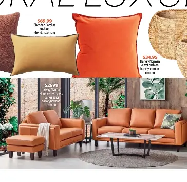 Florence lounge harvey norman deals