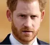  ??  ?? The Duke of Sussex