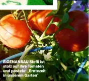  ??  ?? EIGENANBAU Steffi ist stolz auf ihre Tomaten und postete: „Erntezeit in unserem Garten“