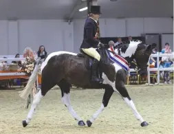  ??  ?? Back in the saddle: Meg Thompson, despite breaking her leg in May this year, heads the junior ridden supreme aboard So Sweet