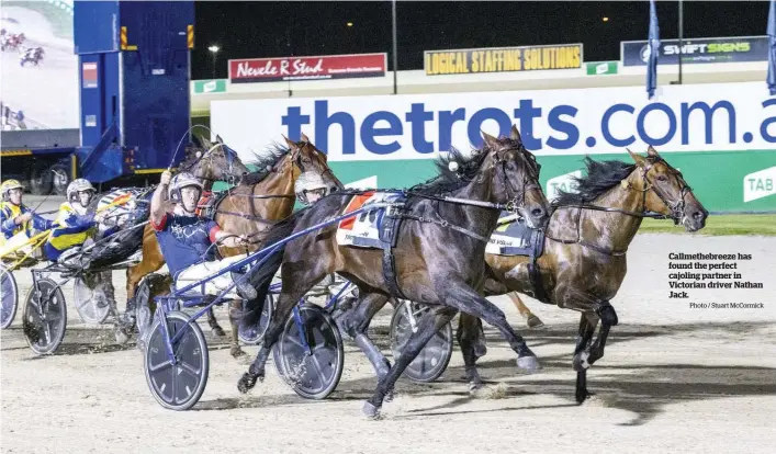  ?? Photo / Stuart McCormick ?? Callmetheb­reeze has found the perfect cajoling partner in Victorian driver Nathan Jack.