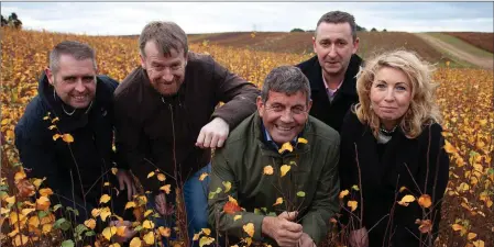  ??  ?? At the launch of the 2018-19 Planting Season under the National Forestry Programme were, from left: Lar Behan (Sales Manager); John Kavanagh (Nursery Manager); Minister Andrew Doyle TD; Teige Ryan (Sales Manager) and Breda Murphy (HR Manager).