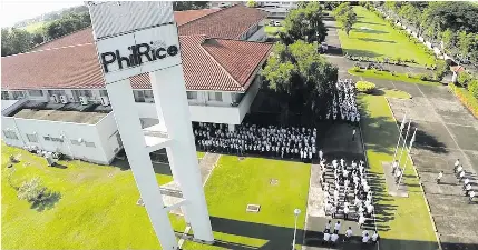 PHILRICE MARKS 39TH ANNIVERSAR­Y - PressReader