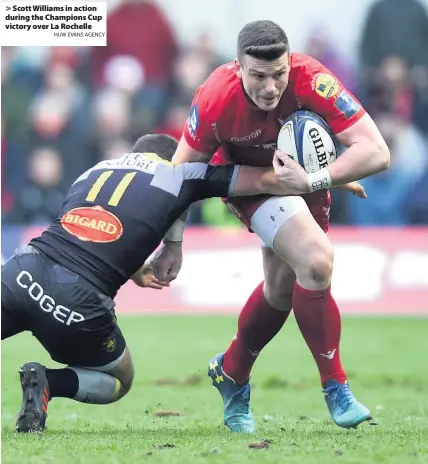  ?? HUW EVANS AGENCY ?? > Scott Williams in action during the Champions Cup victory over La Rochelle