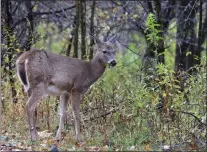  ?? COURTESY PENNSYLVAN­IA GAME COMMISSION ?? You might have known that drones would come into the hunting equation.