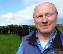  ??  ?? Experience: Gigginstow­n farm manager Joe O’Mahony has been in charge of the elite Angus herd for 20 years