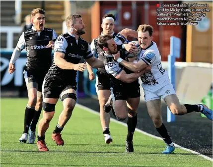  ??  ?? ■ Ioan Lloyd of Bristol Bears is held by Micky Young during the Gallagher Premiershi­p Rugby match between Newcastle Falcons and Bristol Bears