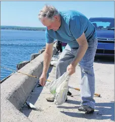  ?? SUEANN MUSICK/THE NEWS ?? Jack MacKenzie of London, Ont., tries his hand at mackerel fishing off Pier C early Monday morning.