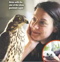  ??  ?? Helen with the star of the show, goshawk Lupin