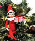  ?? PICKLEHEAD­SOUP.BLOGSPOT.COM ?? An elf chills in a Christmas tree with a six-pack of beer.