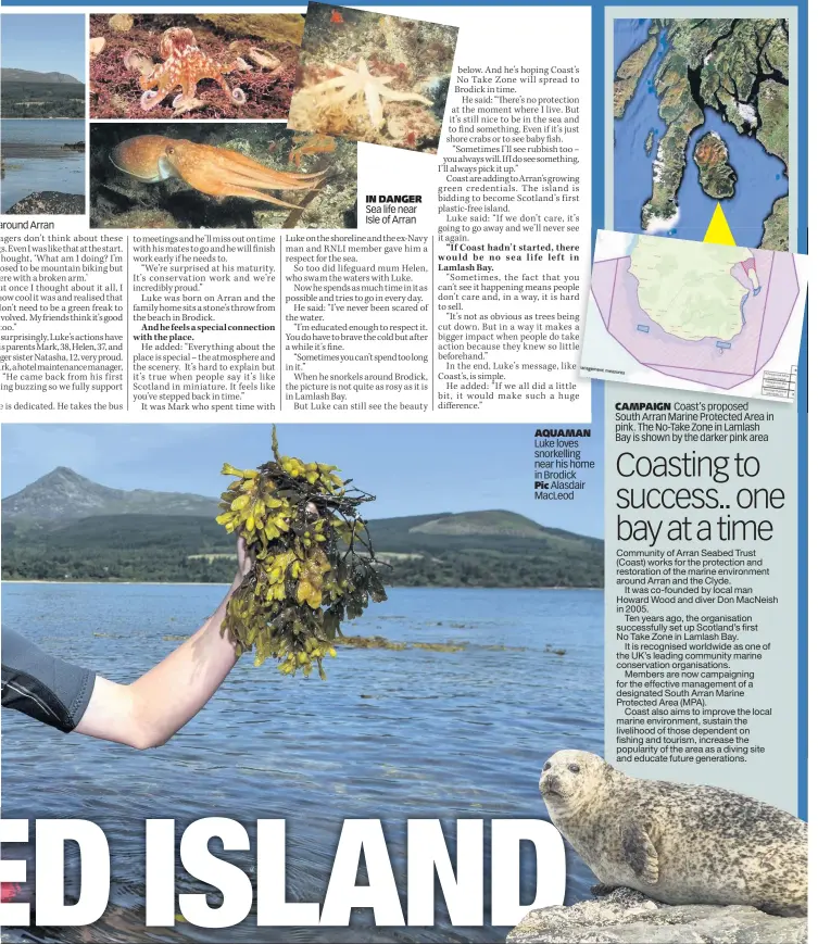  ??  ?? around Arran IN DANGER Sea life near Isle of Arran AQUAMAN Luke loves snorkellin­g near his home in Brodick Pic Alasdair MacLeod CAMPAIGN Coast’s proposed South Arran Marine Protected Area in pink. The No-Take Zone in Lamlash Bay is shown by the darker...