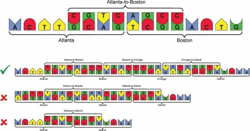  ??  ?? DNA computatio­n has been used to solve the computatio­nally intensive Travelling Salesman Problem using a massively parallel architectu­re