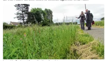  ??  ?? Les prairies fleuries sont la première étape du projet.