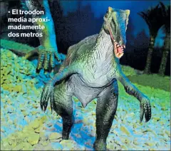  ??  ?? • El troodon medía aproximada­mente dos metros