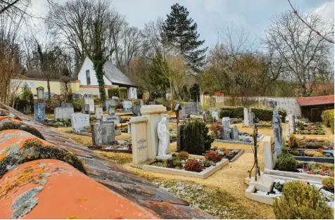  ?? Fotos: Matthias Link ?? Der Gemeindera­t Reimlingen plant im Haushalt Kosten ein, um ein Urnenfeld auf dem Friedhof anzulegen. Denn für diese Bestattung­sform entscheide­n sich immer mehr Men‰ schen.