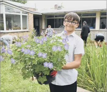  ?? Picture: Paul Jacobs/pictureexc­lusive.com ?? PLANT-TASTIC
William Martin, aged 14.