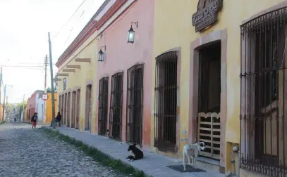  ?? FOTOS: ROBERTO LÓPEZ ?? II
No es un problema de perros callejeros; han matado a los animales dentro de propiedade­s particular­es.